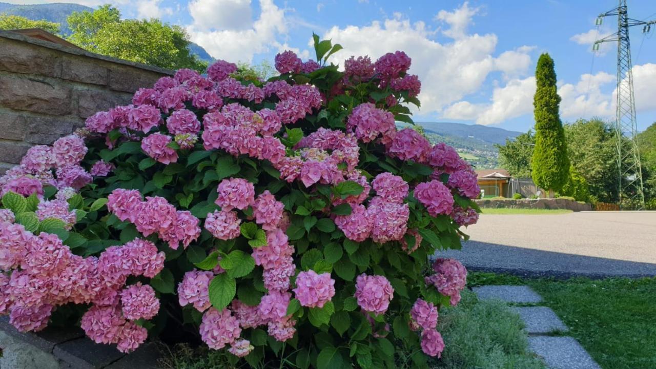 Ferienwohnungen Koflerhof كاستيلِروتّو المظهر الخارجي الصورة